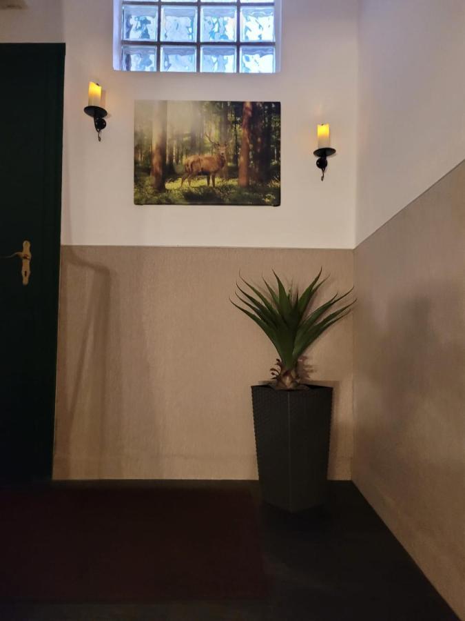 Parkblick